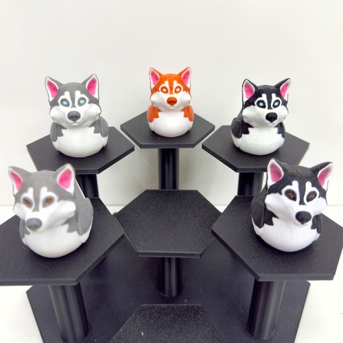 Husky duck varianti - husky,