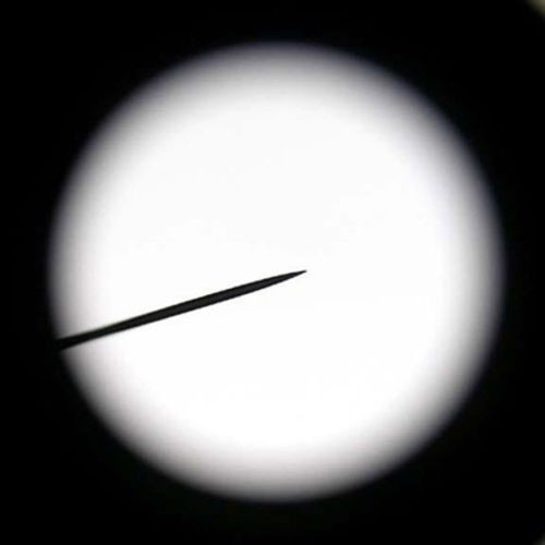 Wf10x oculare per microscopio - wf10x,
