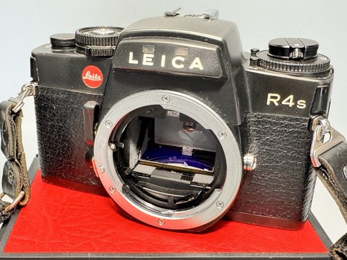 Corpo fotocamera reflex