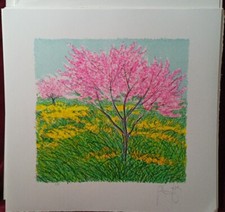 Azzinari Franco Litografia Originale Firmata Cm 35×35 Certificato A Norma