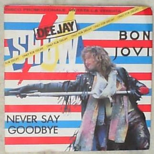 Bon jovi never - say, goodbye
