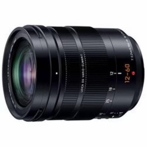 Panasonic es12060 leica - h-es12060,