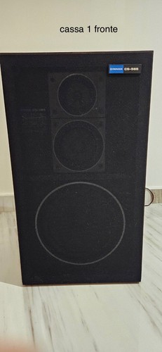 Pioneer 565 coppia - pioneer,