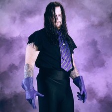 WRESTLING SUPERSTARS - THE