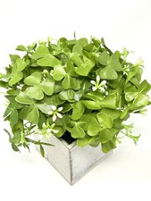 PIANTA ARTIFICIALE TRIFOGLIO