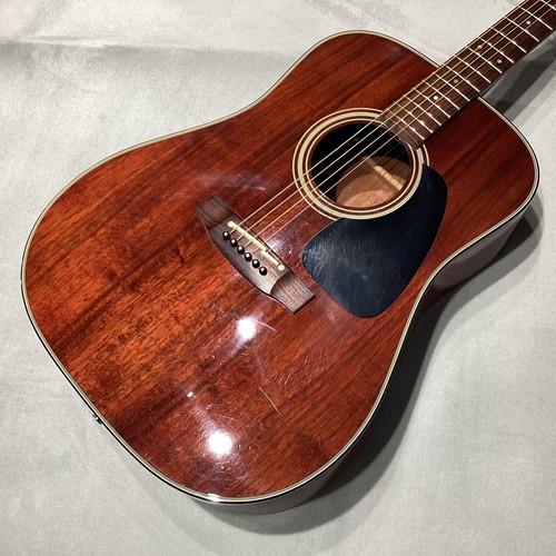 Chitarra elettrica acustica