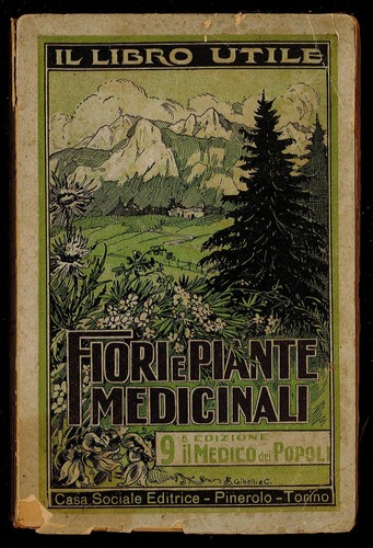 Fiori piante medicinali 1931 - fiori, e