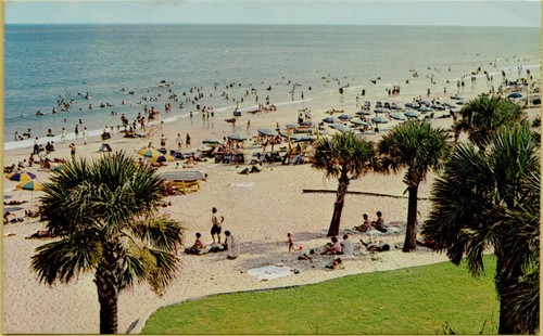 Air aerial view - aerial, swimmers