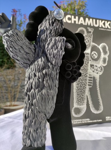 Kaws kachamukku - kaws,