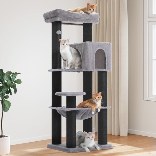 Pawz road torre albero per - torre,