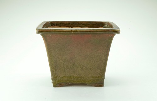 Vaso bonsai artigianale - , a