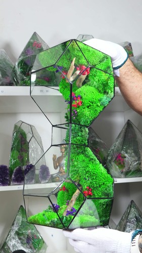 Terrarium vetro con piante - in,