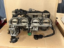 Corpi Farfallati Completi