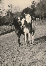 B3 -  Foto Photo Fotografia Anni 60 - Addestratore Cavalli con bambino