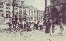 Venezia-Piazza San Marco Piccioni-1905