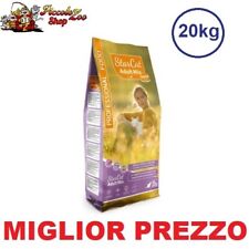 Professional Food Star Cat