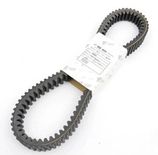 845010-CINGHIA TRASMISSIONE