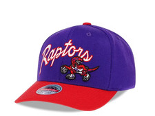 Berretto Toronto Raptors NBA