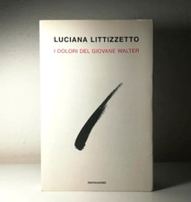 I DOLORI DEL GIOVANE WALTER DI