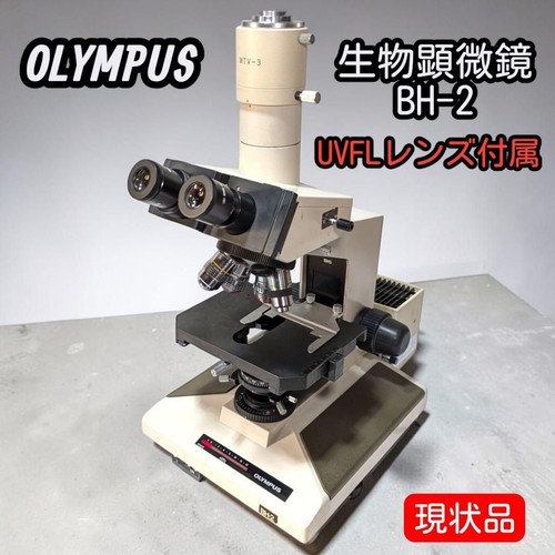 Olympus microscopio mtv 3 - bh-2, mtv-3