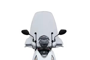Faco 23556 parabrezza sym - parabrezza,