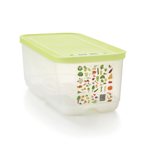 Tupperware contenitore oasi - contenitore,