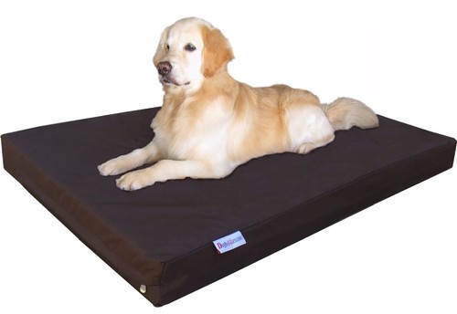 Cuccia per cani - , balistica