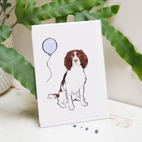 Biglietto compleanno springer - biglietto,