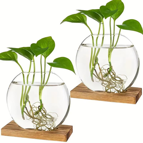Terrari rotondi vetro 2 - terrari,