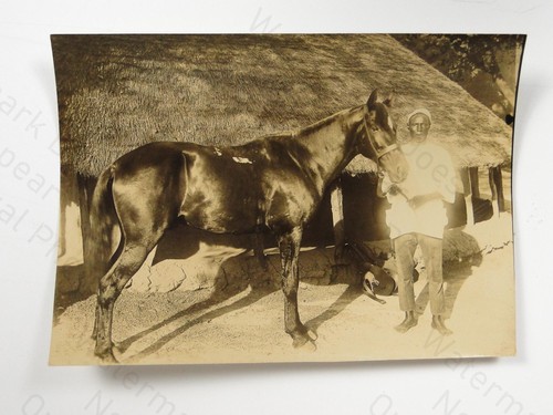 Man horse thatched hut african - horse,
