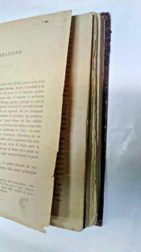 Curtius giorgio grammatica - -,