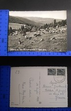 FOLGARIA (TN) - MT. 1168 -
