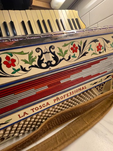Fisarmonica professionale - fisarmonica,