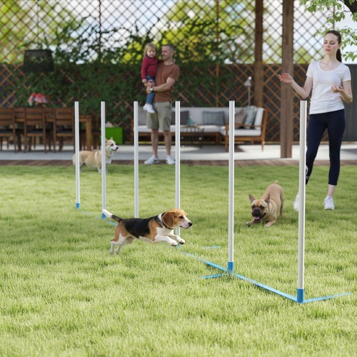 Pawhut cani agility training - pawhut,