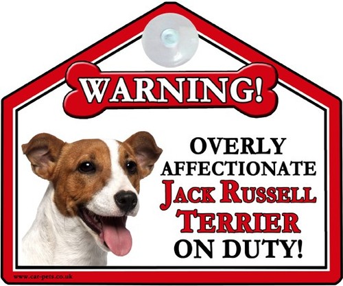 Regalo jack russell terrier - jack,