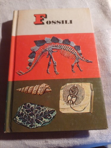 Fossili piccole guide - piccole,