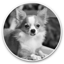 2 adesivi in vinile 30 cm (bw)