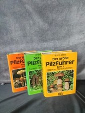 Cetto, Bruno. Guida ai funghi