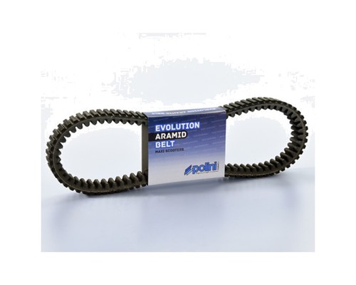 Polini banda trasmissione - polini,