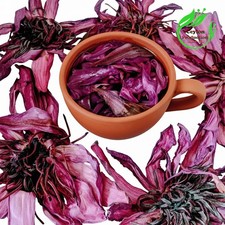 Fiore di loto rosso biologico