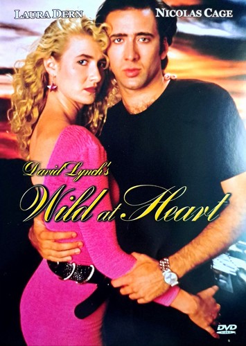 Wild heart dvd - wild,