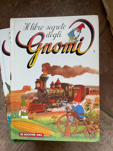 Libro segreto degli gnomi - segreto,