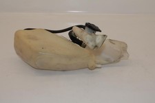 Serbatoio Di Olio YAMAHA TDR