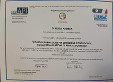 cuccioli Dogo Argentino 2024