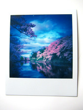 N. ARAKI: POLAROID ORIGINALE