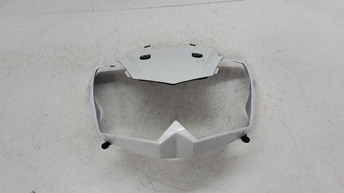 Kawasaki 1000 09 - 07, carena