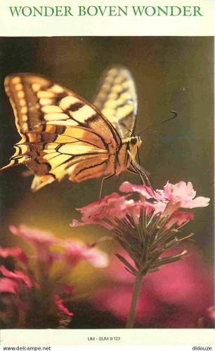 Carte postale animaux - -,