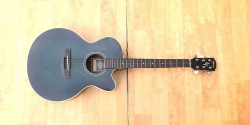Chitarra elettrica acustica