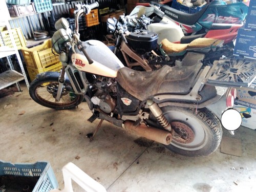 Moto red rose - moto,