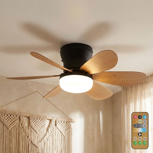 Globo lampadario ventilatore - globo,